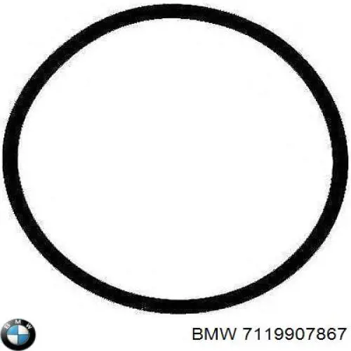 Junta de tapa del tubo de llenado de aceite BMW 07119907867 precio, desde 5,05 EUR