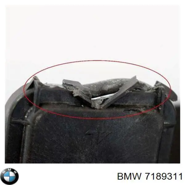 7189311 BMW