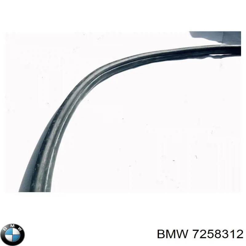 7258312 BMW