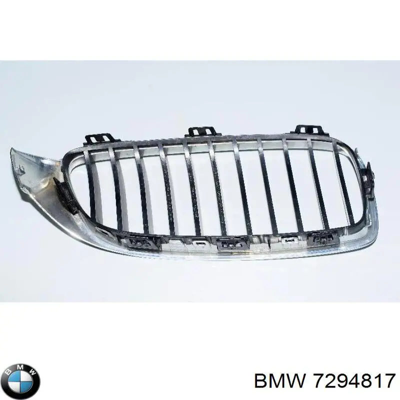Rejilla izquierda 7294817 BMW