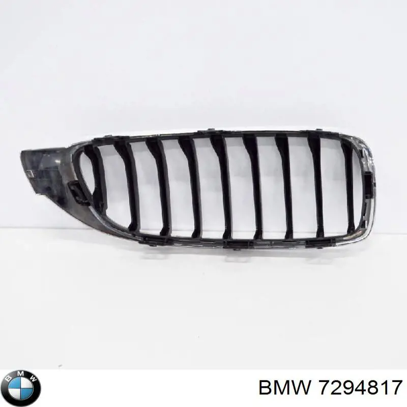 Comprar 7294817 BMW Rejilla izquierda
