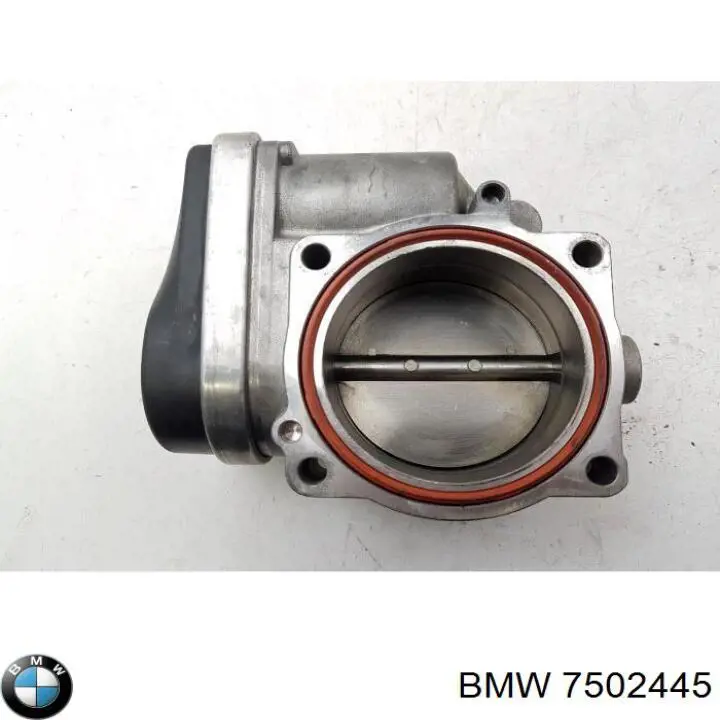 7502445 BMW cuerpo de mariposa completo