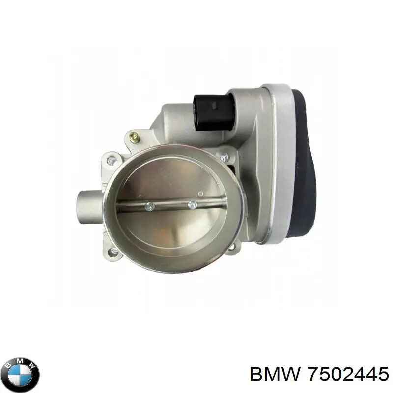 Cuerpo de mariposa 7502445 BMW