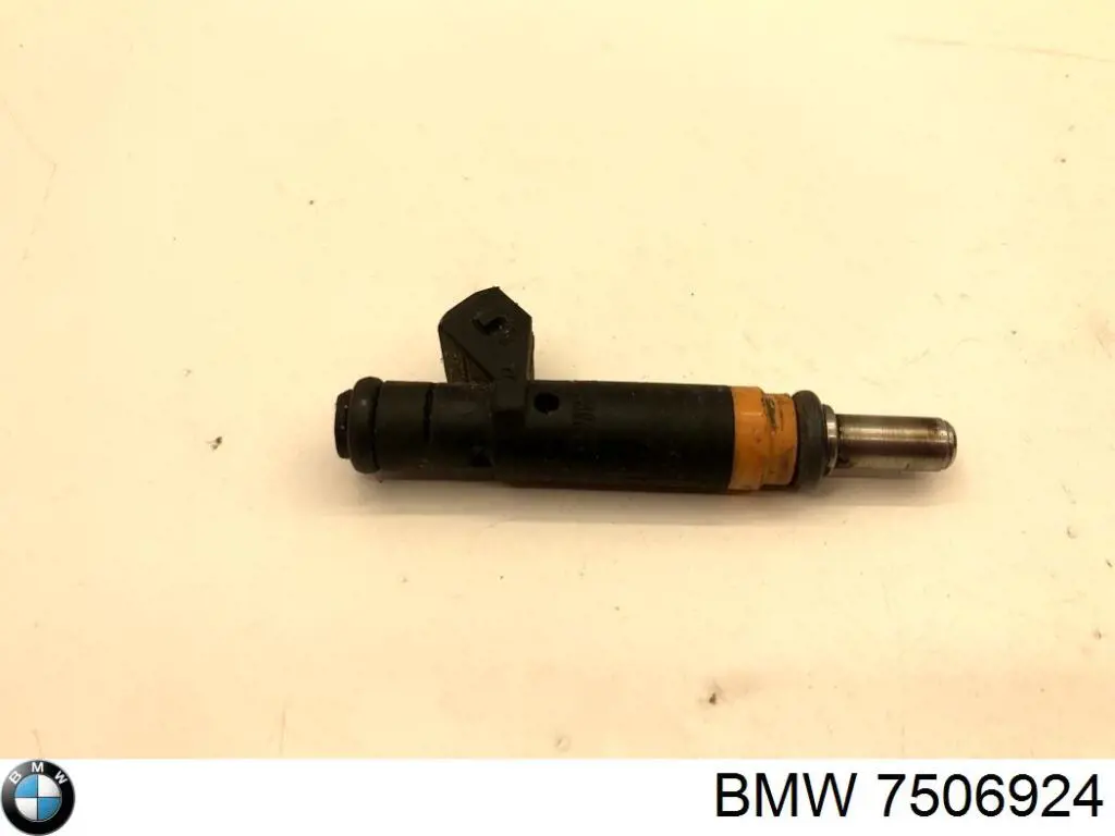 7506924 BMW inyector