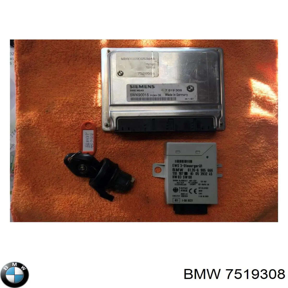 Comprar 7519308 BMW ECU