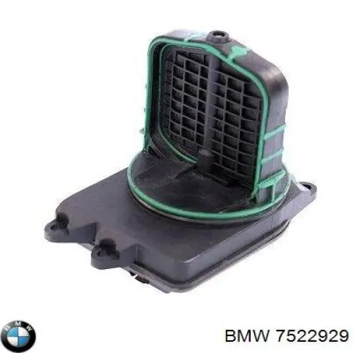 Válvula (actuador) de mariposa inferior del colector de admisión BMW 7522929