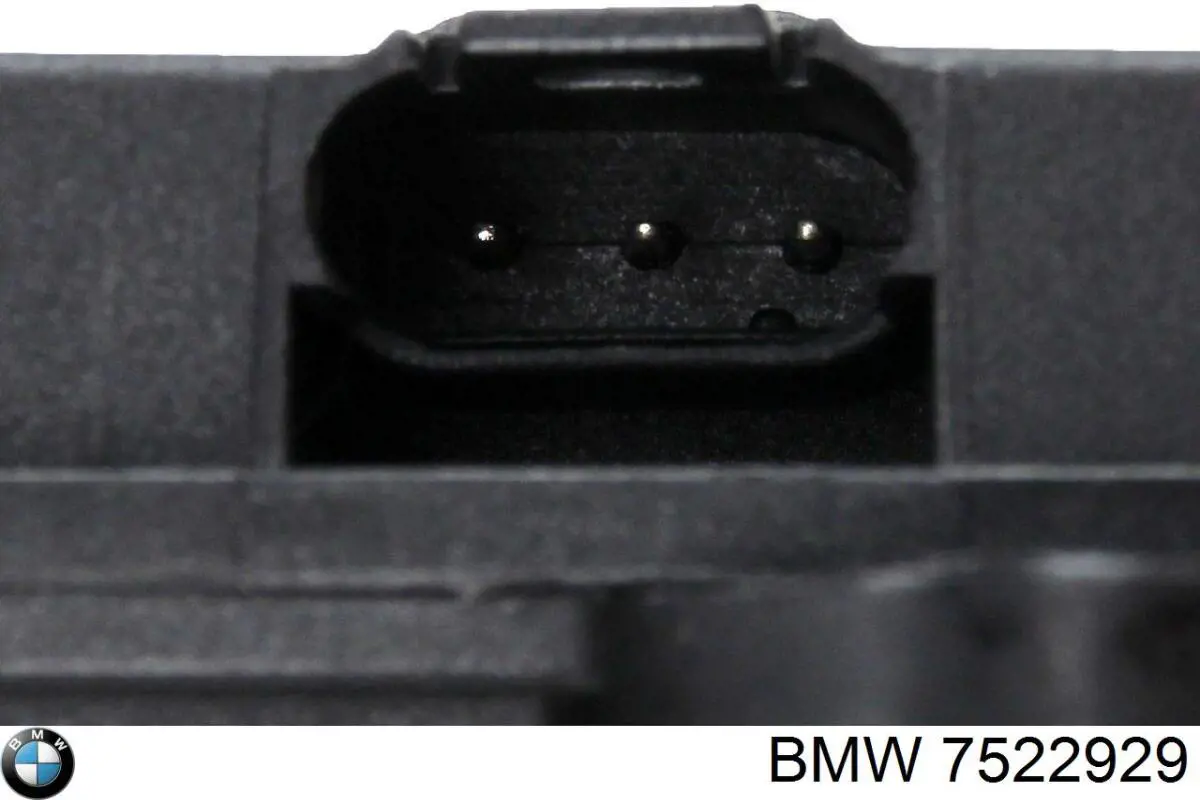 Válvula (actuador) de mariposa inferior del colector de admisión BMW 7522929 precio, desde 68,70 EUR