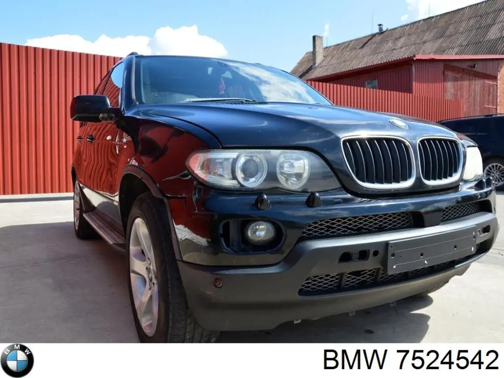 Reductor delantero BMW 7524542 precio, desde 2655,98 EUR