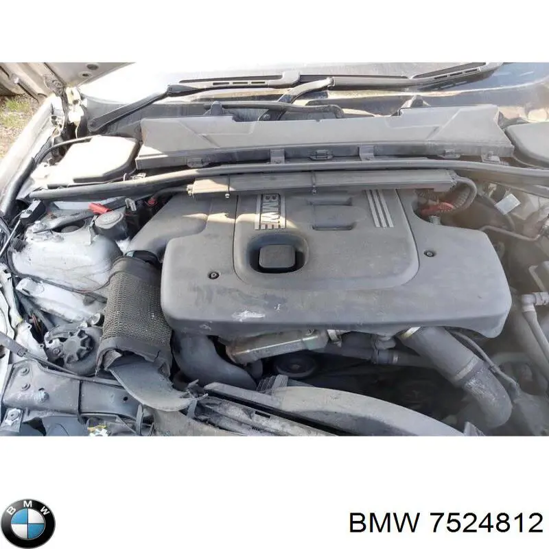 Comprar 7524812 BMW Sensor de nivel de refrigerante del depósito