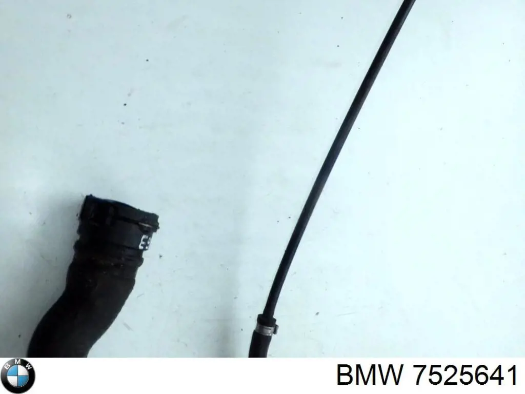  BMW 7525641 precio, desde 28,11 EUR
