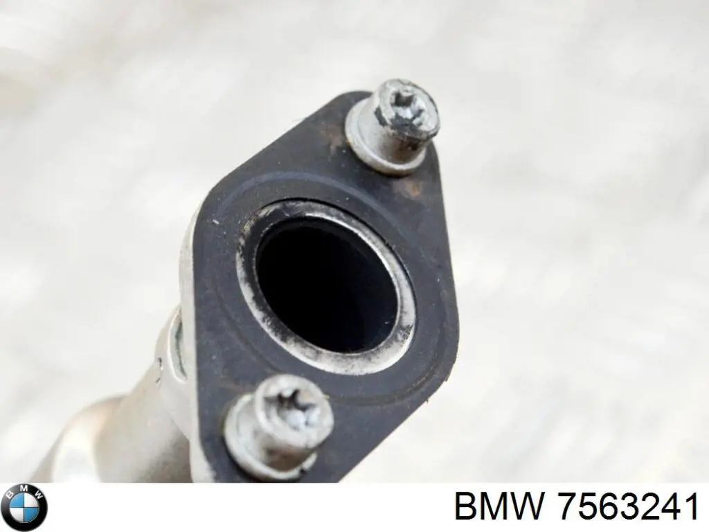 EGR NRF 48654