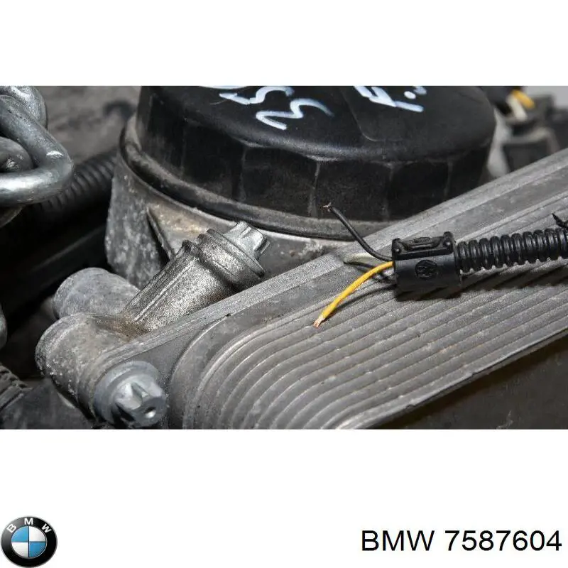 7587604 BMW