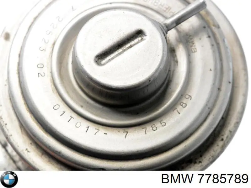 Comprar 7785789 BMW Válvula EGR