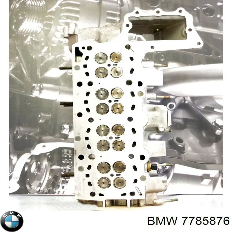 7785876 BMW 