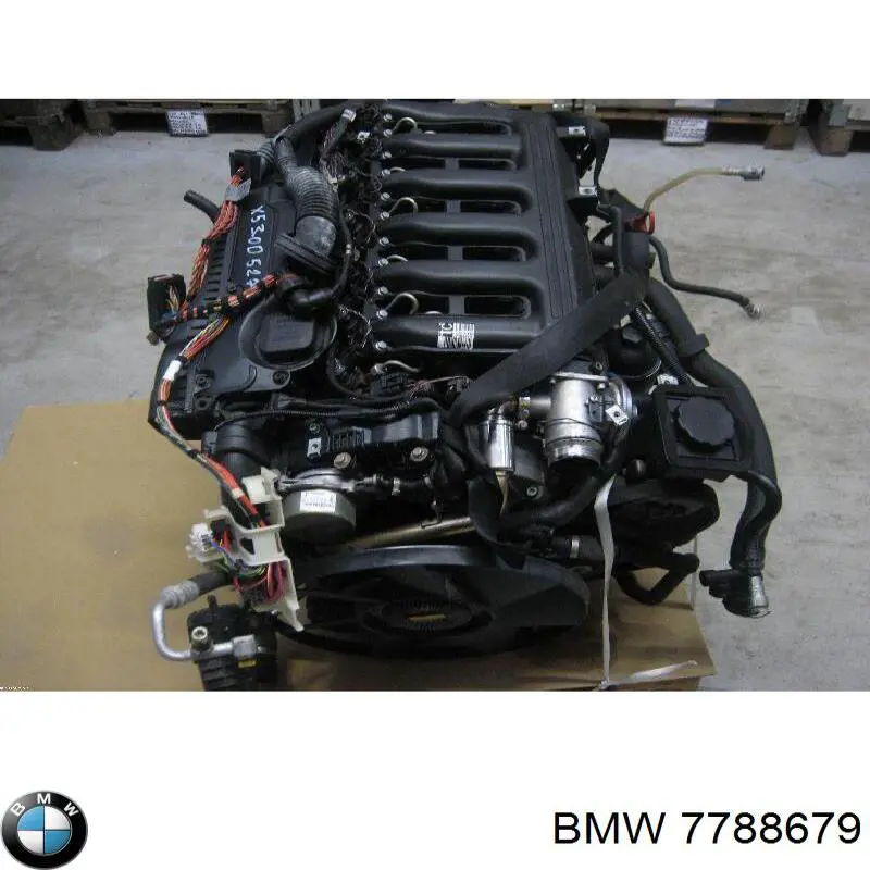Rampa de combustible BMW 7788679 precio, desde 111,80 EUR