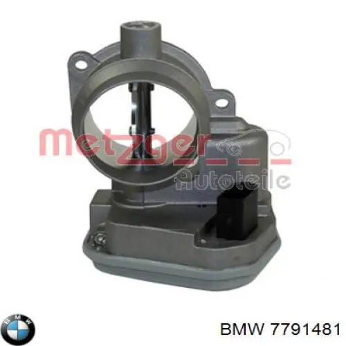 Cuerpo de mariposa 7791481 BMW