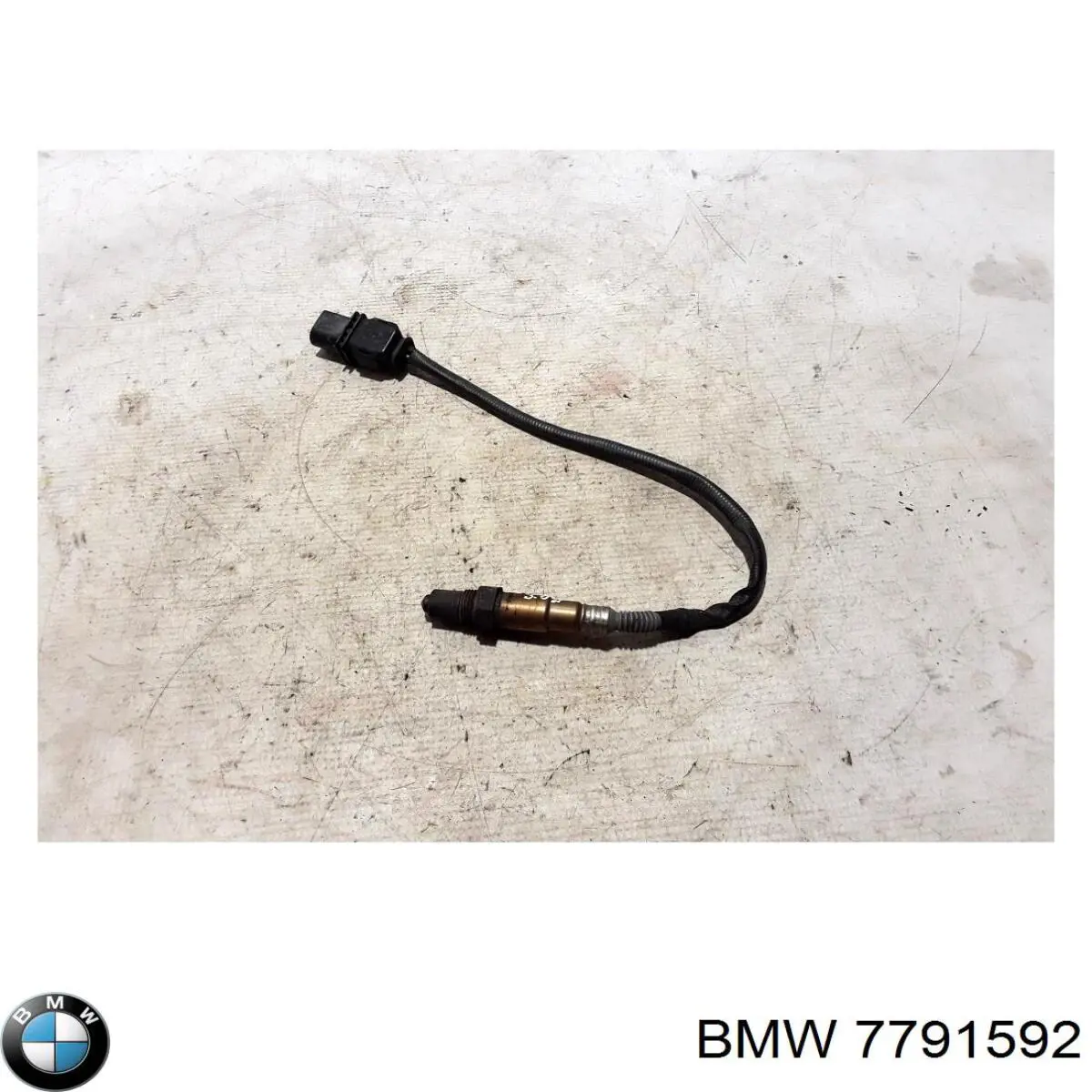 7791592 BMW