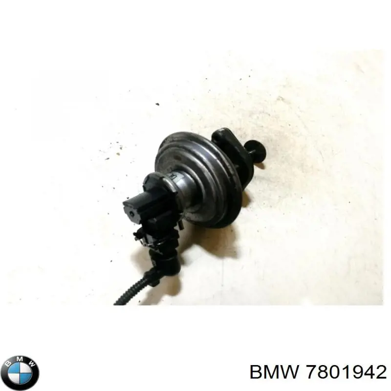 7801942 BMW Válvula EGR