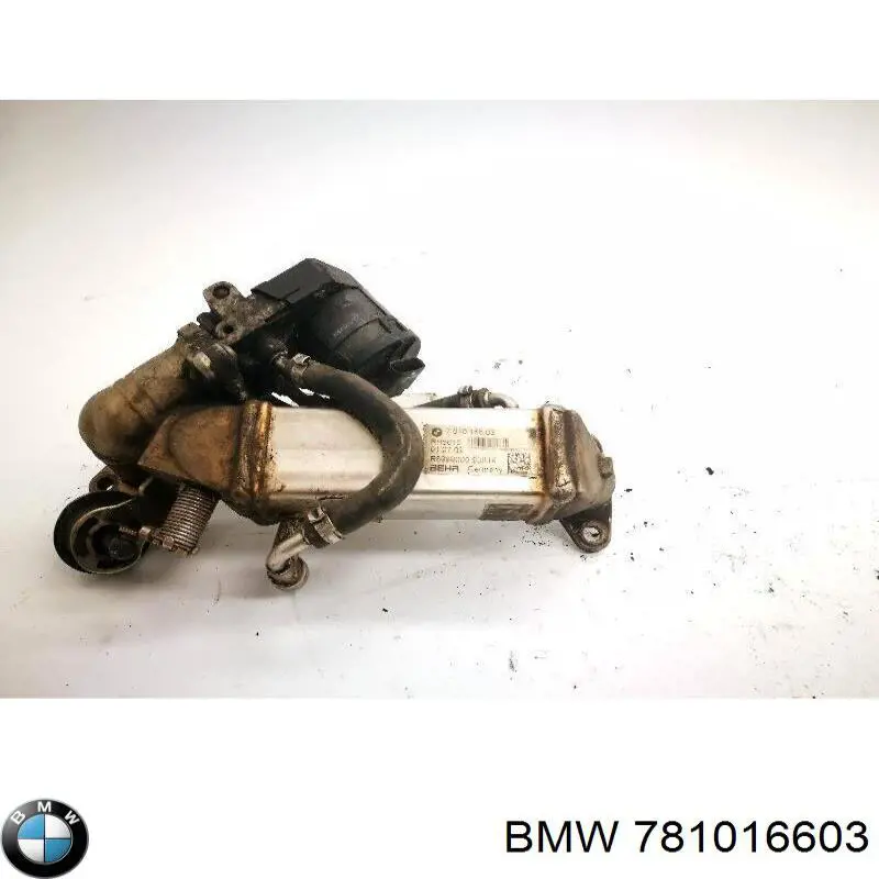  BMW 781016603 precio, desde 91,48 EUR