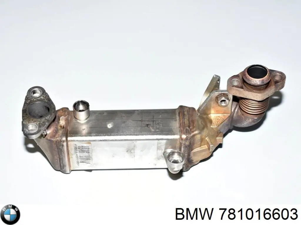Comprar 781016603 BMW 