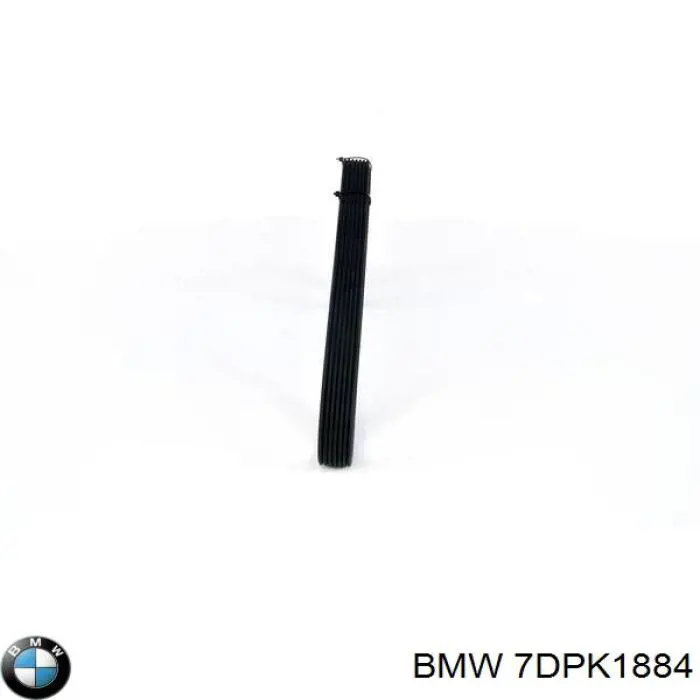 Correa accesorios BMW 11287808106