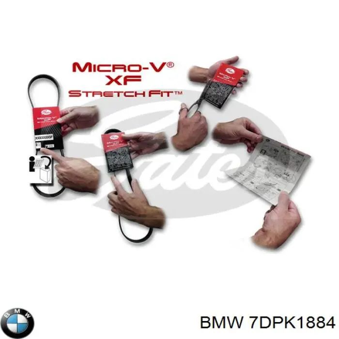 11287808106 BMW Correa poly v