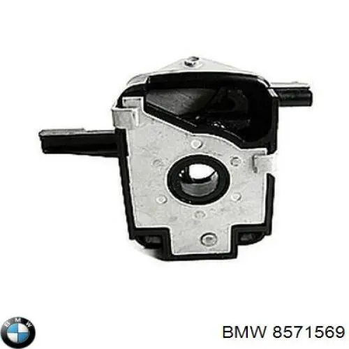 13538571569 BMW Rampa de combustible