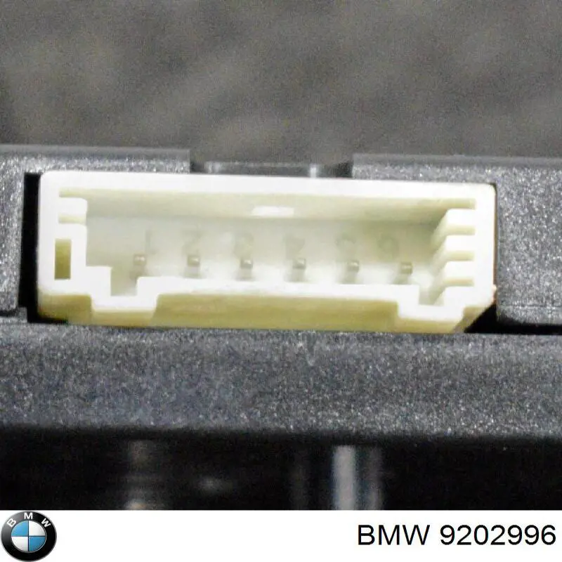 Comprar 9202996 BMW 