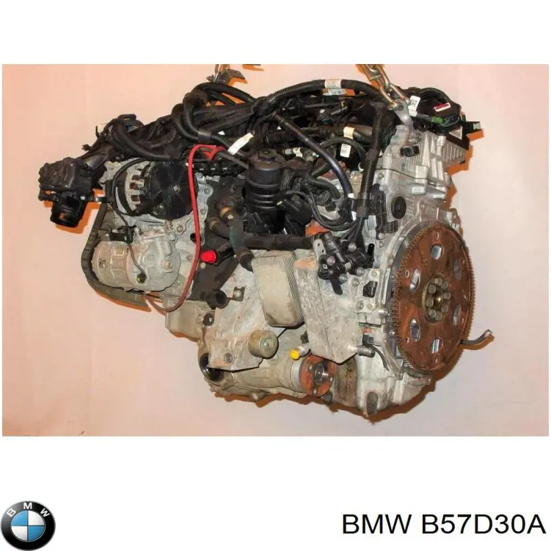 Motor completo BMW B57D30A precio, desde 8057,47 EUR
