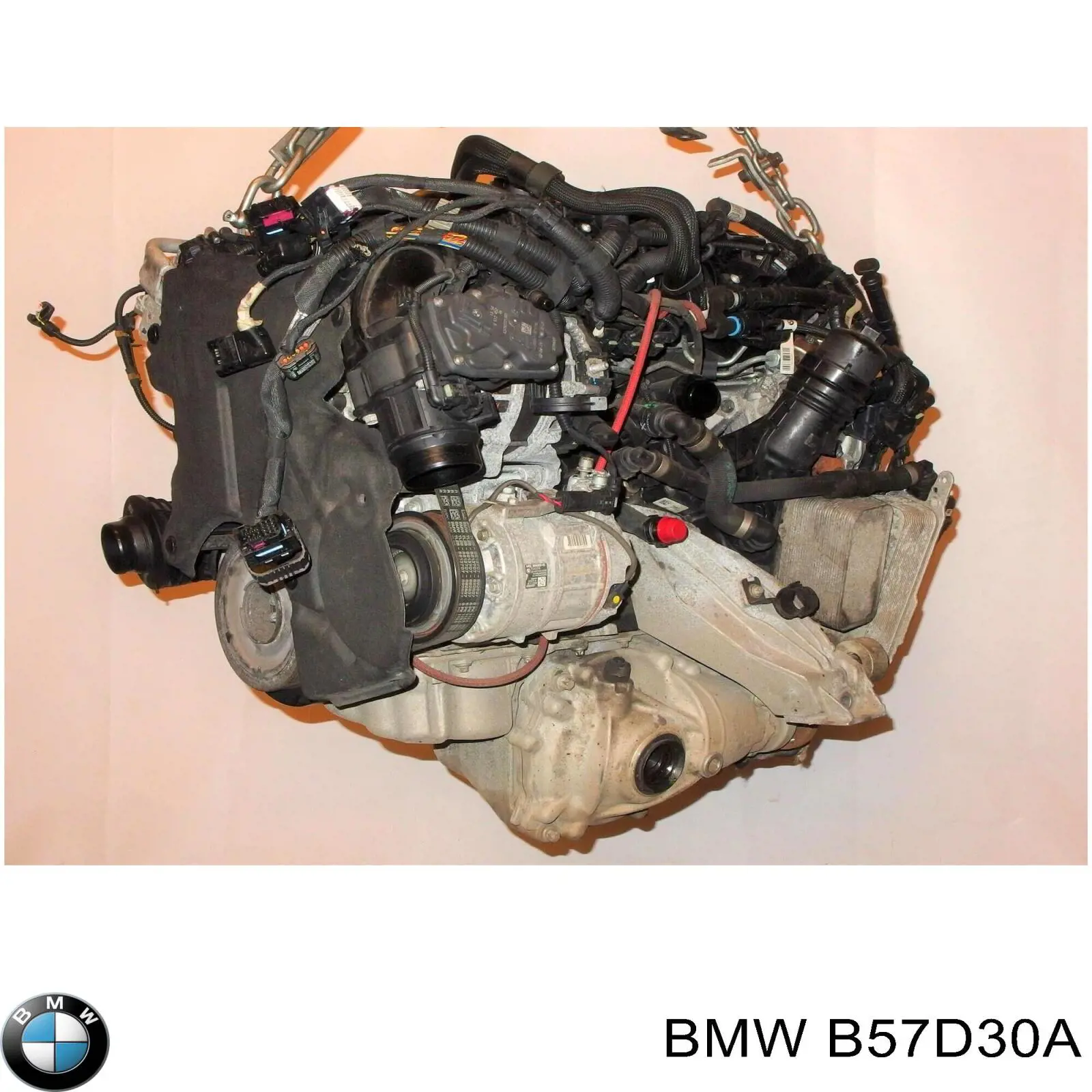 Motor completo para BMW X6 (G06, F96)
