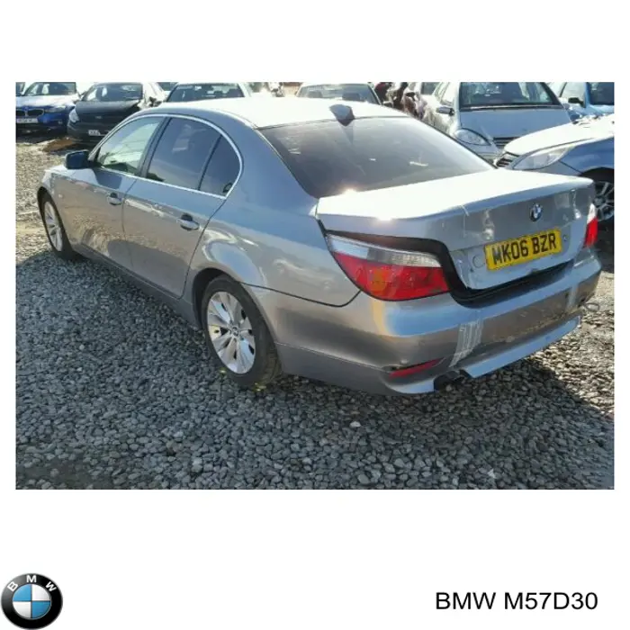 Motor completo BMW M57D30 precio, desde 1582,68 EUR