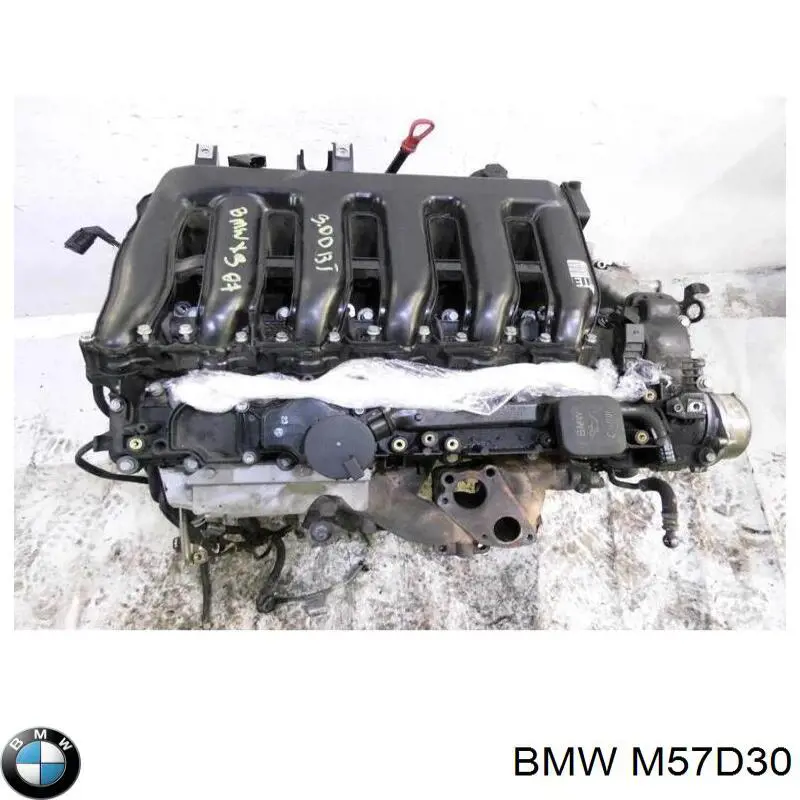 M57D30 BMW motor completo