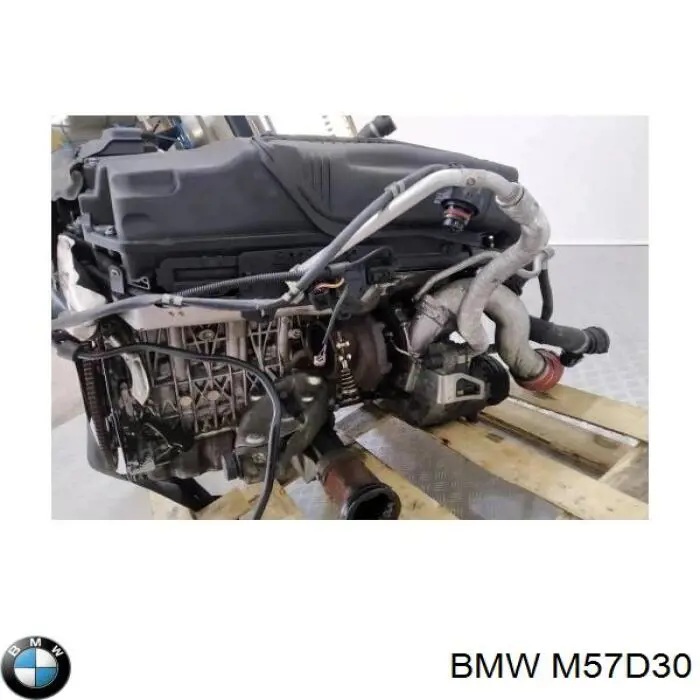 Motor completo BMW M57D30 precio, desde 1582,68 EUR