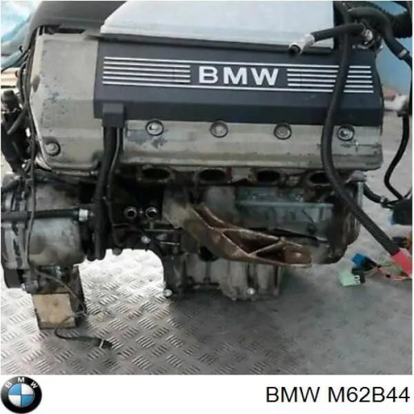 M62B44 BMW Motor completo