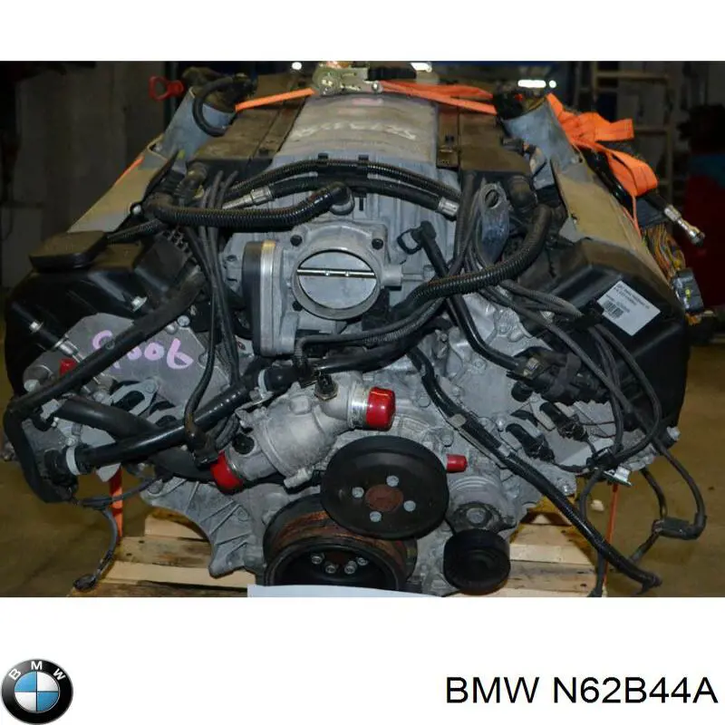 N62B44A BMW Motor completo