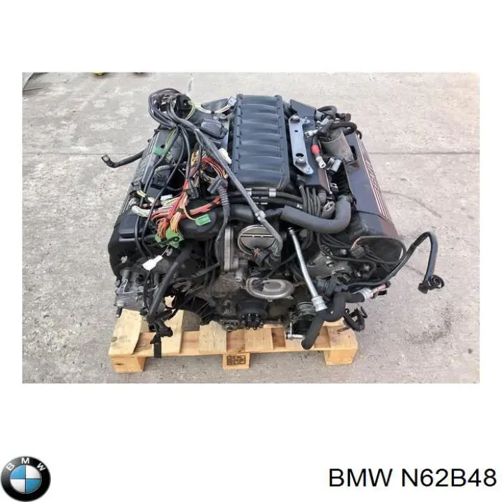 N62B48 BMW