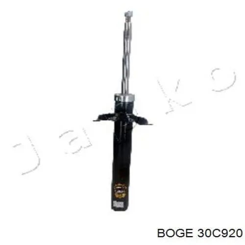 5202AN Peugeot/Citroen Amortiguador frontal izquierdo