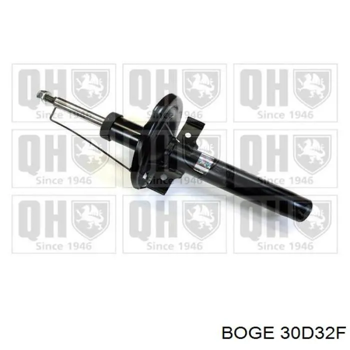 Amortiguador delantero Renault Megane 2 LM0, LM1