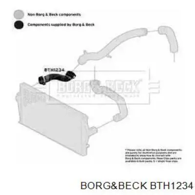 BTH1234 Borg&beck tubo flexible de aire de sobrealimentación derecho