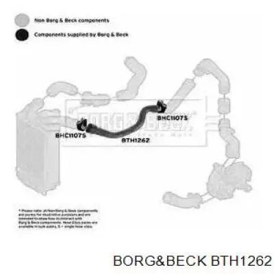 BTH1262 Borg&beck tubo flexible de aire de sobrealimentación izquierdo