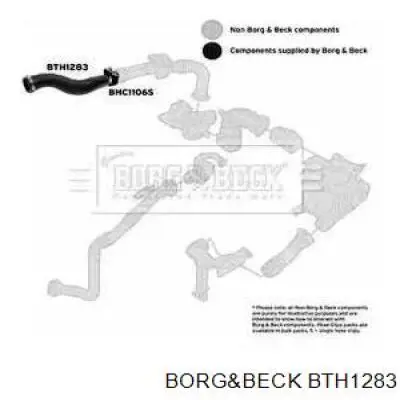 BTH1283 Borg&beck tubo flexible de aire de sobrealimentación derecho