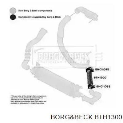 Tubo flexible de aire de sobrealimentación derecho Ford Fiesta 6 (CB1)