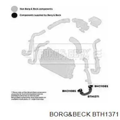 BTH1371 Borg&beck tubo flexible de aire de sobrealimentación izquierdo