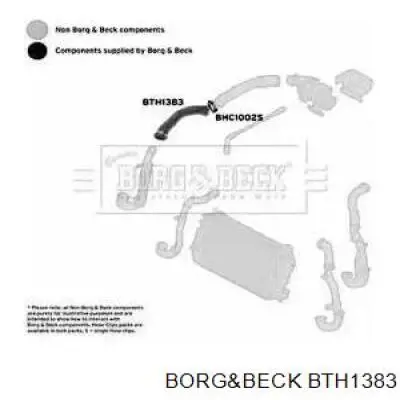 BTH1383 Borg&beck tubo flexible de aire de sobrealimentación derecho