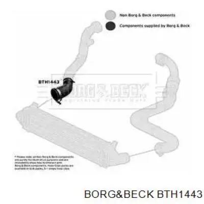 225088 Impergom tubo flexible de aire de sobrealimentación inferior derecho