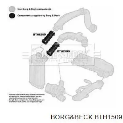 BTH1509 Borg&beck tubo flexible de aire de sobrealimentación izquierdo