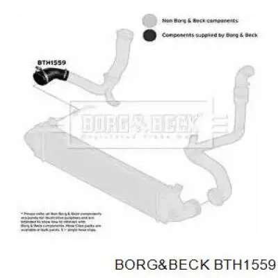 BTH1559 Borg&beck tubo flexible de aire de sobrealimentación inferior derecho