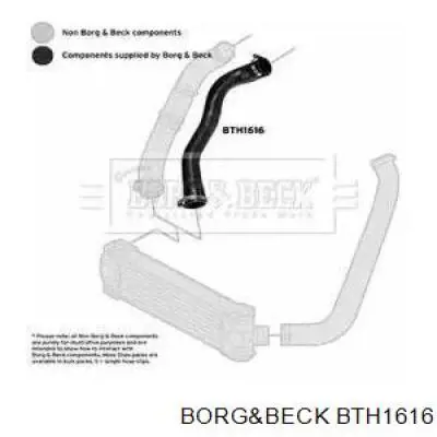 BTH1616 Borg&beck tubo flexible de aire de sobrealimentación derecho