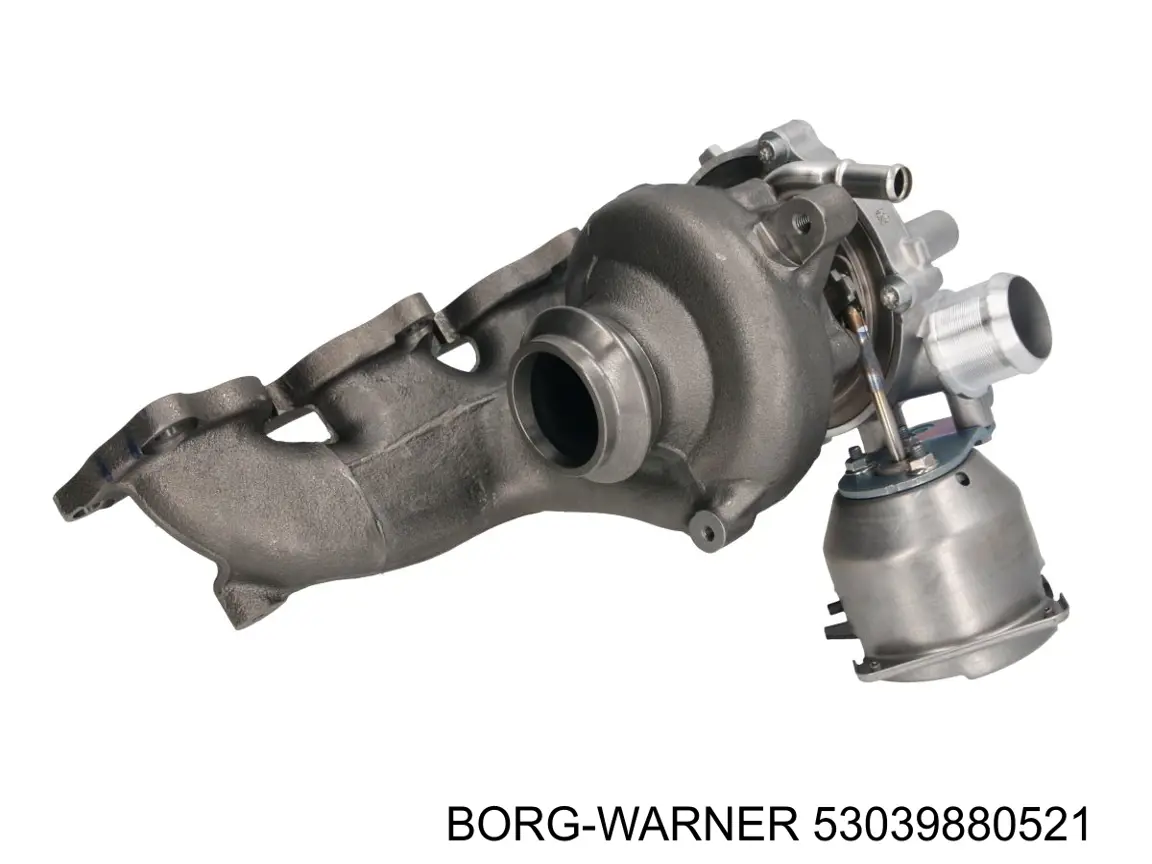 Turbocompresor Borg-Warner 53039880521 precio, desde 581,80 EUR