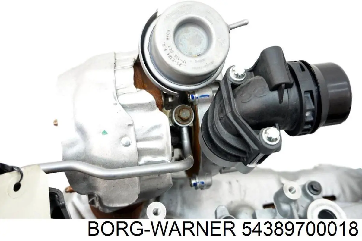 54389700018 Borg-Warner/KKK